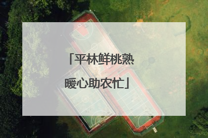 平林鲜桃熟 暖心助农忙